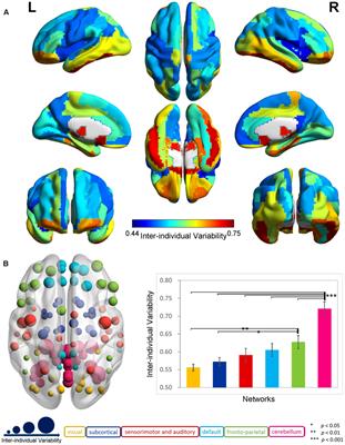 Linking Inter-Individual Variability in Functional Brain Connectivity to Cognitive Ability in Elderly Individuals